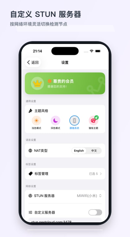 自定义 STUN 服务器